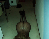 sex porno