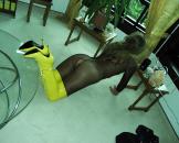 bilder sex