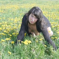 freie amateurfotos