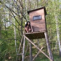 brustwarzen bilder