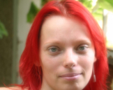 busenbilder gratis